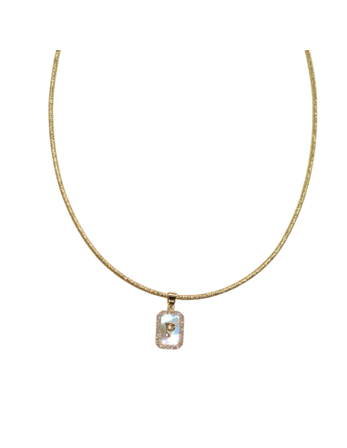 Collana Magnetica Ciondolo Piastrina...