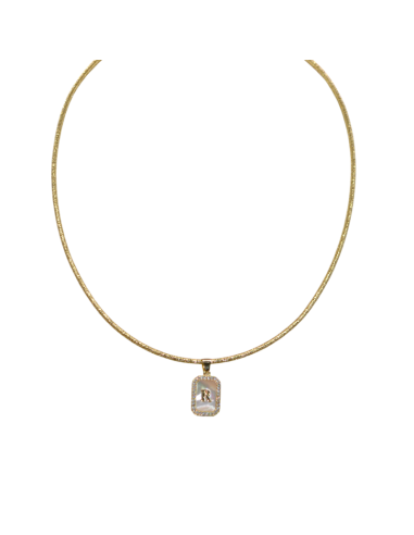 Collana Magnetica Ciondolo Piastrina...