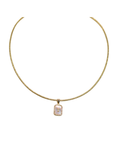 Collana Magnetica Ciondolo Piastrina...