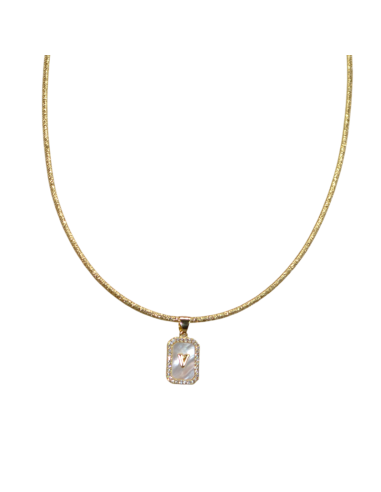 Collana Magnetica Ciondolo Piastrina...