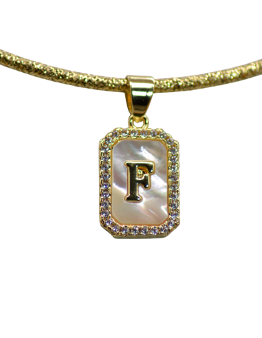 Collana Magnetica Ciondolo Piastrina...