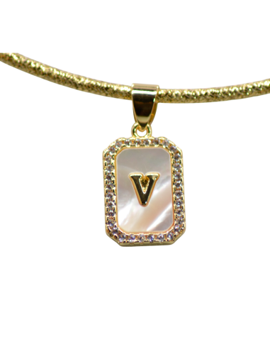 Collana Magnetica Ciondolo Piastrina...